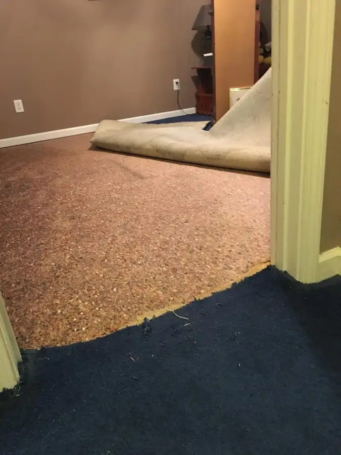 Carpet pad removal revealing water damage during Drying & Dehumidification in Depew